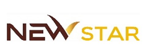 New Star Logo New Star Logo